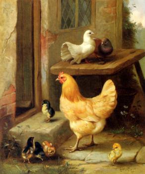 Edgar Hunt : A Hen Chicks And Pigeons